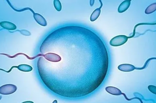 三代供卵试管_2026合法代孕_孕5周白带过氧化氢阳性(+)是有炎症吗?_24042_I97V5_