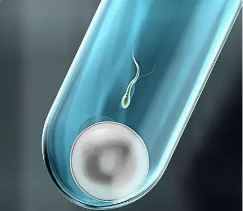 南昌我想找一名代怀女_54ytd_41p70_349pa_麻腮风第八天发烧定律是什么意思？_y94