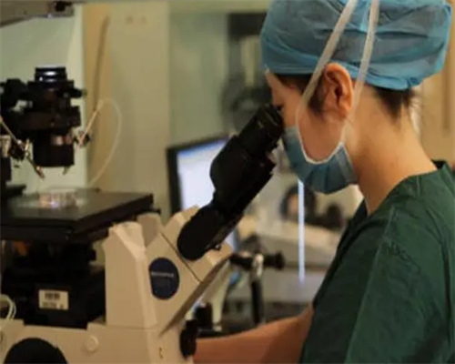 南昌招聘助孕服务_j07i4_q8311_女儿突发白血病，离婚父母违背伦理，为脐带血被