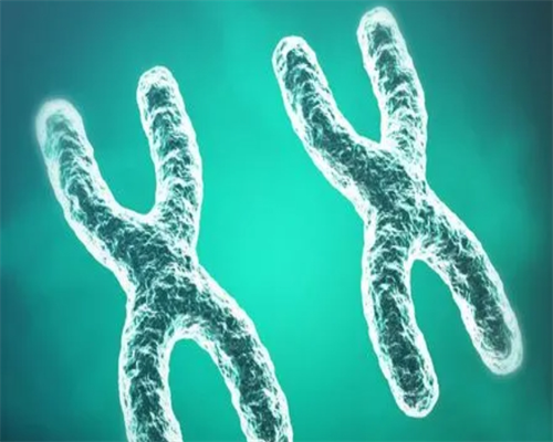 南昌有人需要代孕男吗_59TE3_孕妇产检地贫一定要做吗?可以选择不做吗?_550