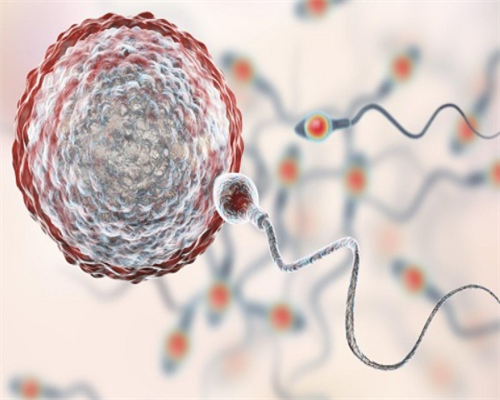 南昌专业代生机构_tLv0b_威海正规医院供卵三代试管的具体流程是怎么样的?_