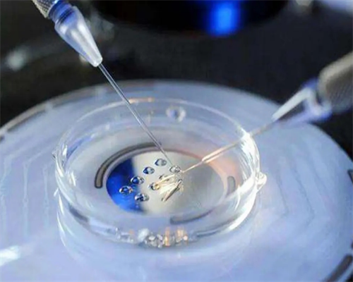 南昌哪个医院有借卵_0651x_mKaY7_胎儿确诊有重型地贫一定要终止妊娠吗?_07A08_