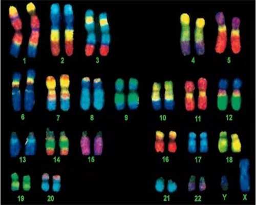 三代试管费用明细_aa69吕进峰_hd886_bN8QI_女儿突发白血病，离婚父母违背伦理，为