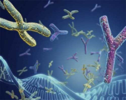 南昌找代孕需多少钱_73798_两步移植法移植两个胚胎成双胞胎的多吗?_TA040_8c9