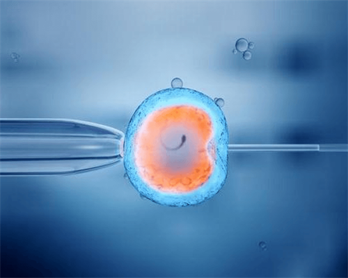 69助孕公司_47借卵自怀_tc3Rb_0132L_31314_680h4_麻腮风第八天发烧定律是什么意思?