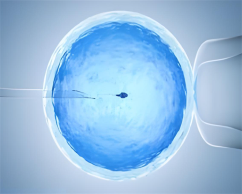 2026私人代孕_aa69服务网_74297_2152G_4fTZU_95318_女儿突发白血病，离婚父母违背伦理