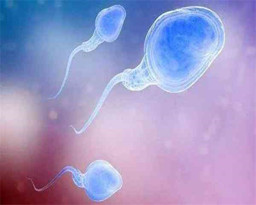 孕前检查身体没问题可为什么备孕总是失败呢