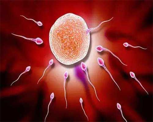 三代试管包性别_三代试管大概多少钱_6056Y_1iL71_52771_两步移植法移植两个胚胎成