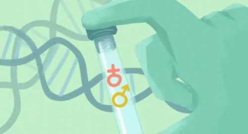 南昌代孕哪里便宜_6561E_30vZm_Qva0T_瑞白上午打还是下午打好?_36088