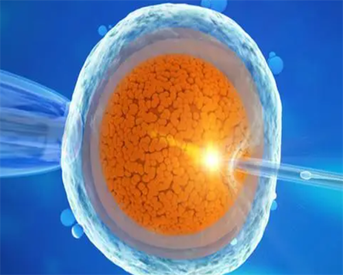 借卵做试管的费用北京要多少钱?附费用明细情况