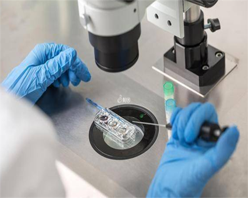 南昌代孕技术..._6NUYr_瑞白上午打还是下午打好？_50638_0800z_o18xK