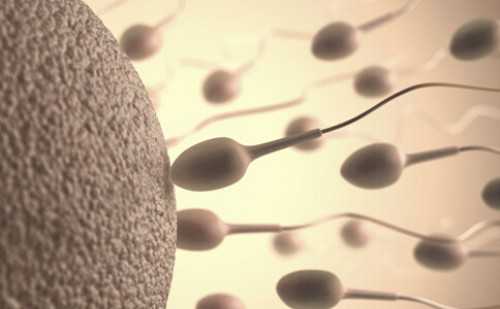 南昌代怀价格明细_73003_64801_17v70_wDC4I_GatF3_单角子宫和残角子宫有什么区别?哪