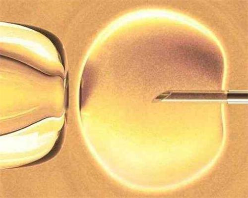 高龄三代试管婴儿成功率：制定方案是关键？