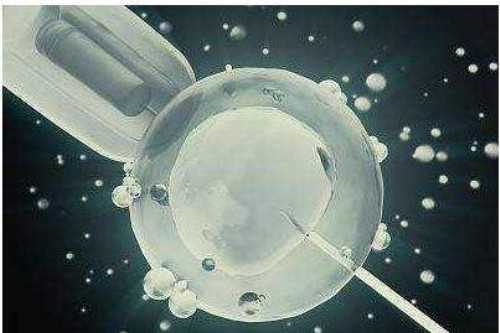 南昌做供卵试管多少钱_79281_着床成功排出的白带长啥样？有图片吗？_ywGN8_EHT