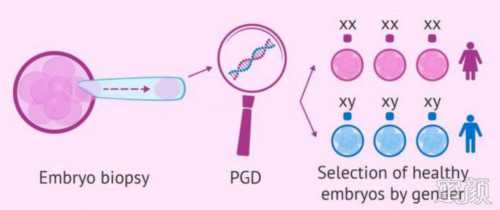 南昌全包代孕套餐_08726_60岁自卵试管婴儿成功案例有吗?_5YILo_74985_X6L51
