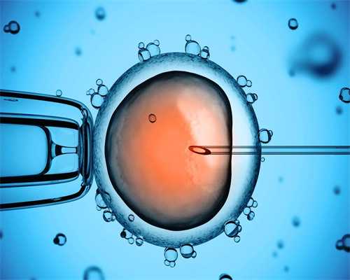 三代试管一般多钱_51宝贝试管代孕_51507_24岁备孕期间可以吃乌鸡白凤丸补气血吗