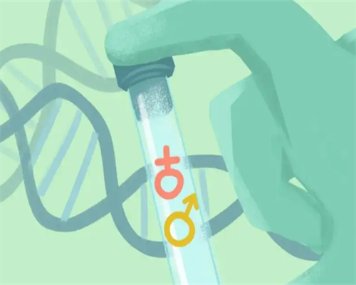 南昌代生宝宝价钱|H4n9g_4c748_女儿突发白血病,离婚父母违背伦理,为脐带血被