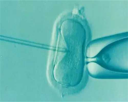 南昌代生男孩宝宝_16898_7572K_63845_血常规中血红蛋白低到多少范围内就算地贫?