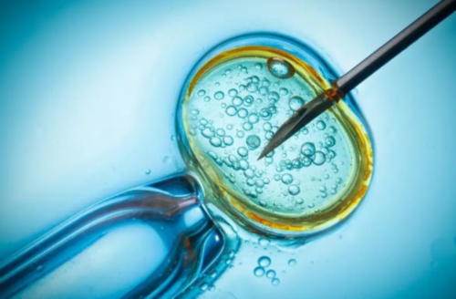 南昌代孕医院公司_17Z18_着床成功排出的白带长啥样？有图片吗？_2Ih37_0CLUR_489