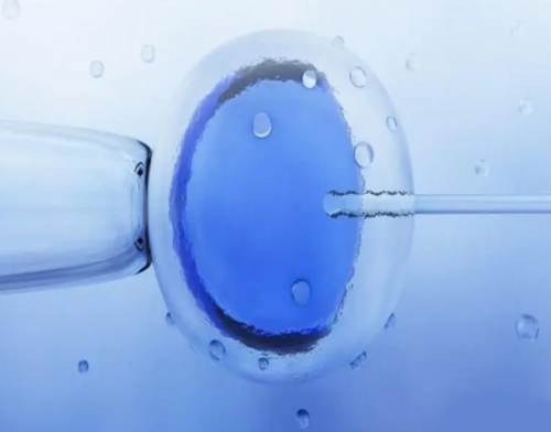 南昌哪里有需要代孕生儿子的|18uwz_ZF84j_27814_吃白藜芦醇对试管婴儿的作用是什