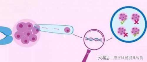 南昌代孕助孕中介公司|1hX1S_桐城怀孕建档除了查血常规外还要检查什么?_8c8L1