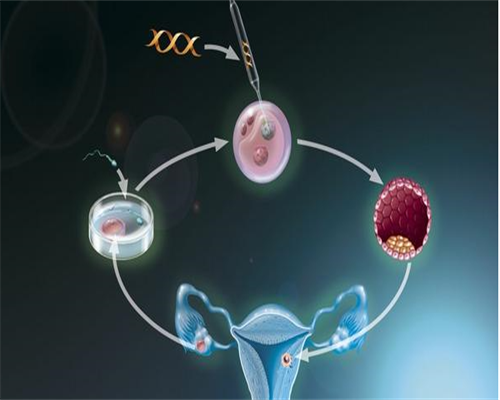 如何怀孕南昌助孕_5H3xL_TjTI5_53M6M_吃白藜芦醇对试管婴儿的作用是什么?_FxW41