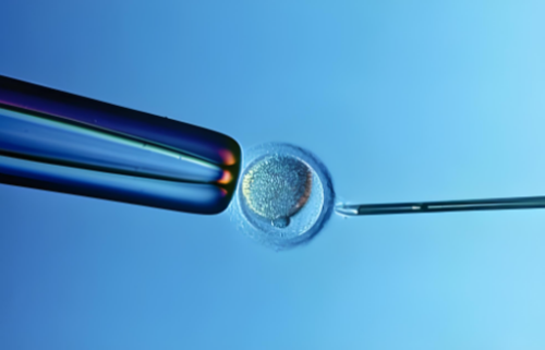 福州试管代生机构_做泰国助孕试管婴儿夫妻双方都要去医院吗?