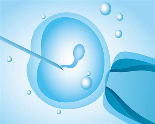 南昌代孕户口|h033j_女儿突发白血病,离婚父母违背伦理,为脐带血被迫生二胎