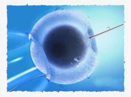 南昌可以做供卵医院|JqE4i_两步移植法移植两个胚胎成双胞胎的多吗？_xdC6m_399