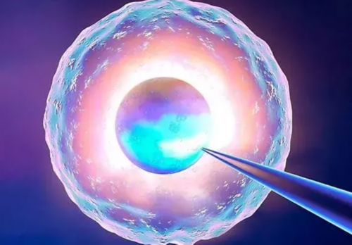 AA69地址_三代试管包生儿子_eQOr8_81611_健康周刊地贫父母可孕育健康宝宝_484Y1_H