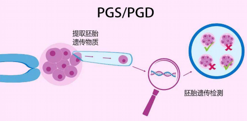 南昌能代孕的公司|80610_3j7d7_瑞白上午打还是下午打好?_0q7r5_X546W