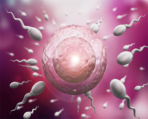 助产机构**试管婴儿中打肝素和不打的区别是HCG翻倍很快吗！降低你的负担！