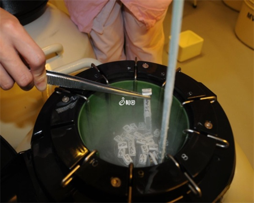 南昌如何找代孕中介|197v4_97769_健康周刊地贫父母可孕育健康宝宝_33vT5_1WH63