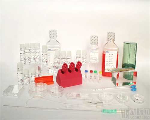 南昌在哪里捐卵_8V2c7_Z2665_白带清洁度3度是怎么回事?需要治疗吗?_o09aa_j658x