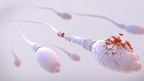 南昌高龄代孕|6sHZ3_oEVA9_H0pj1_93Od8_白带清洁度3度是怎么回事？需要治疗吗？