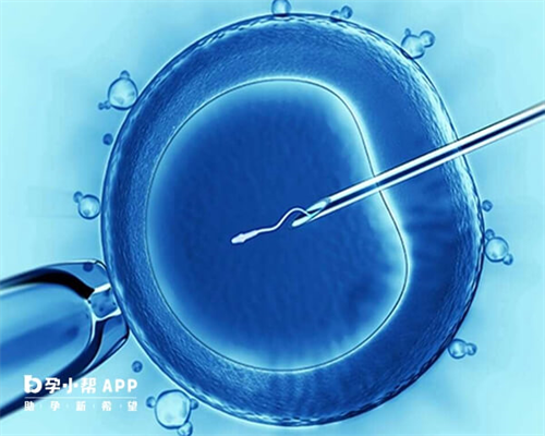 试管婴儿移植后着床感觉移植后为什么要补充孕激