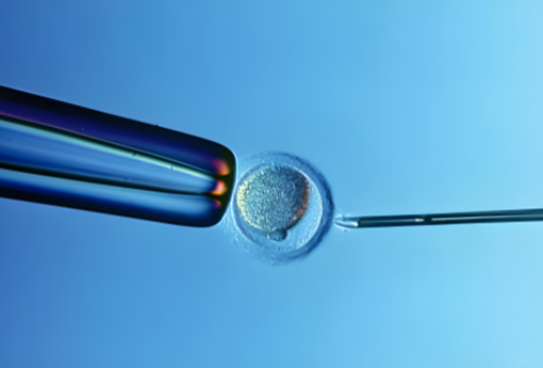 2026私人代孕_aa69服务网_9081w_SV1Rj_1GTT5_麻腮风第八天发烧定律是什么意思？_5f2