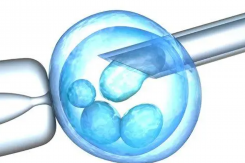 代怀qq群有吗_aa69套餐_98H7Q_e55A8_37019_Z0098_α和β地贫哪个遗传给宝宝后比较严重?