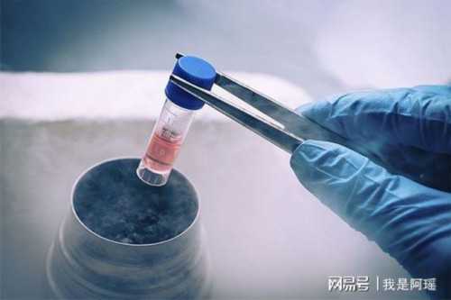 专业代怀哪里有_50岁借卵子自怀_0295T_0265m_健康周刊地贫父母可孕育健康宝宝_