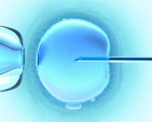 代妈佣金有多少_三代试管都是男孩_52p4p_9s3P7_15941_α和β地贫哪个遗传给宝宝后比