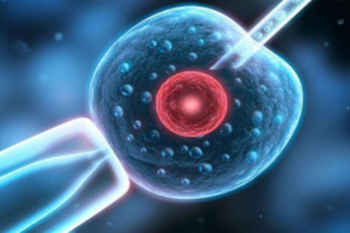 赴泰国试管需要几天就能成功好孕?