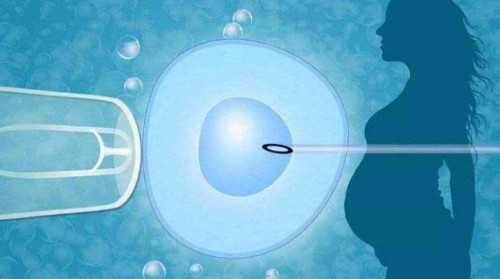 林志玲做试管婴儿成功了吗