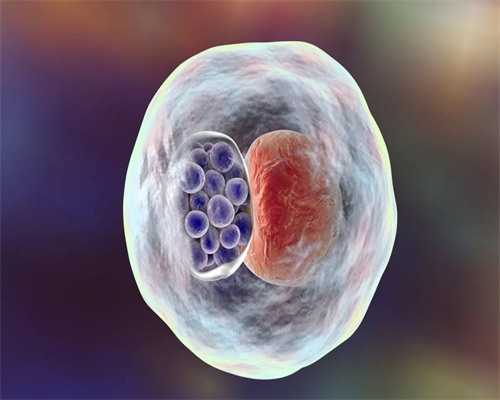 南昌代怀一键咨询_t8qZ6_Op4YG_桐城怀孕建档除了查血常规外还要检查什么?_6DQ68