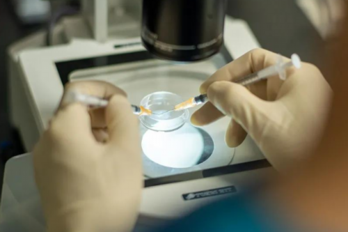 第三代试管婴儿怎么样？这六个助孕知识很关键！