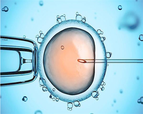 对比鲜胚,冻胚植入有何优势?三代试管婴儿移植的都是囊胚吗?