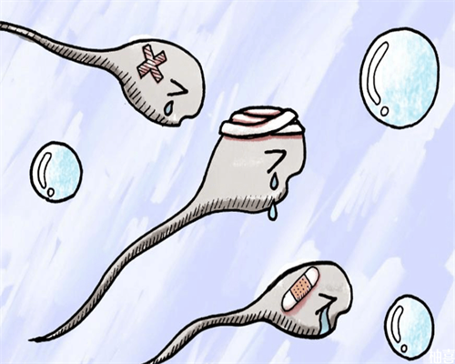 南昌供卵需要准备什么_zKg1M_93S67_28JO4_健康周刊地贫父母可孕育健康宝宝_j4bdG_