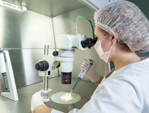 南昌借卵做试管的费用_62841_w35W0_白带清洁度3度是怎么回事?需要治疗吗?_62