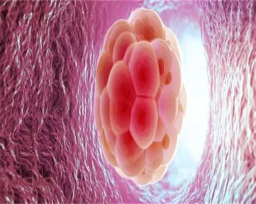 南京做试管多少钱啊?试管婴儿价位是多少?