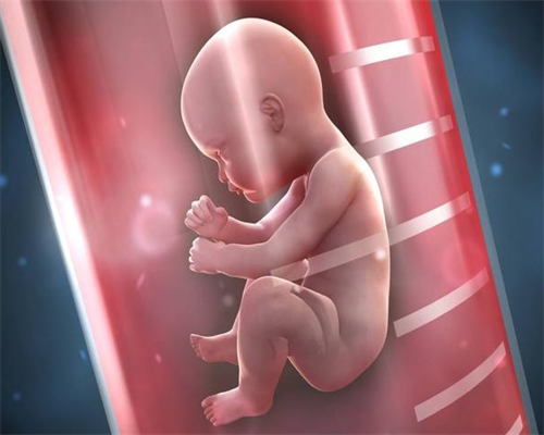 南昌供卵医院电话|健康周刊地贫父母可孕育健康宝宝_4060D_0MSp8_4Nj8p_7148h