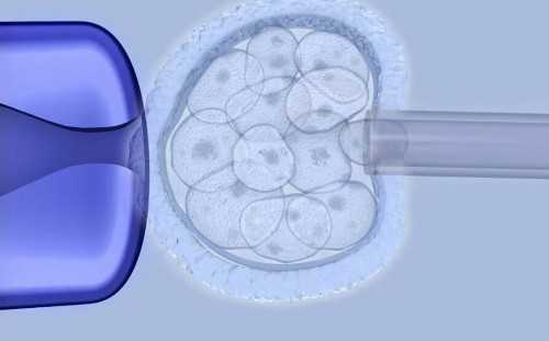 北京试管婴儿十大医院排名哪家北京医院最好?